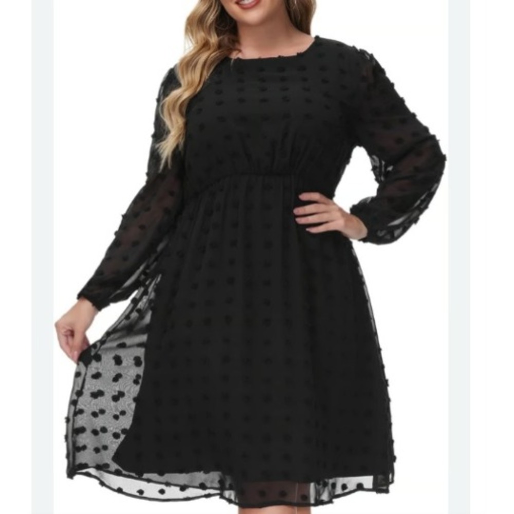 Hanna Nikole Black Swiss Dot Dress Sheer Chiffon Babydoll Dark Romantic Goth 16W